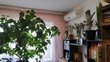Buy an apartment, Voznyuka-ul, Ukraine, Днепр, Samarskiy district, 2  bedroom, 62 кв.м, 787 000 uah