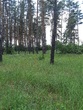 Buy a lot of land, st. Zelenaya, Ukraine, Peschanka, Novomoskovskiy district, Dnipropetrovsk region, , 551 000 uah