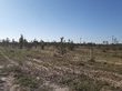 Buy a lot of land, st. Klenovaya, Ukraine, Kirovskoe, Dnepropetrovskiy district, Dnipropetrovsk region, , 65 600 uah