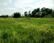 Buy a lot of land, st. bu, Ukraine, Partizanskoe, Dnepropetrovskiy district, Dnipropetrovsk region, , 2 630 000 uah